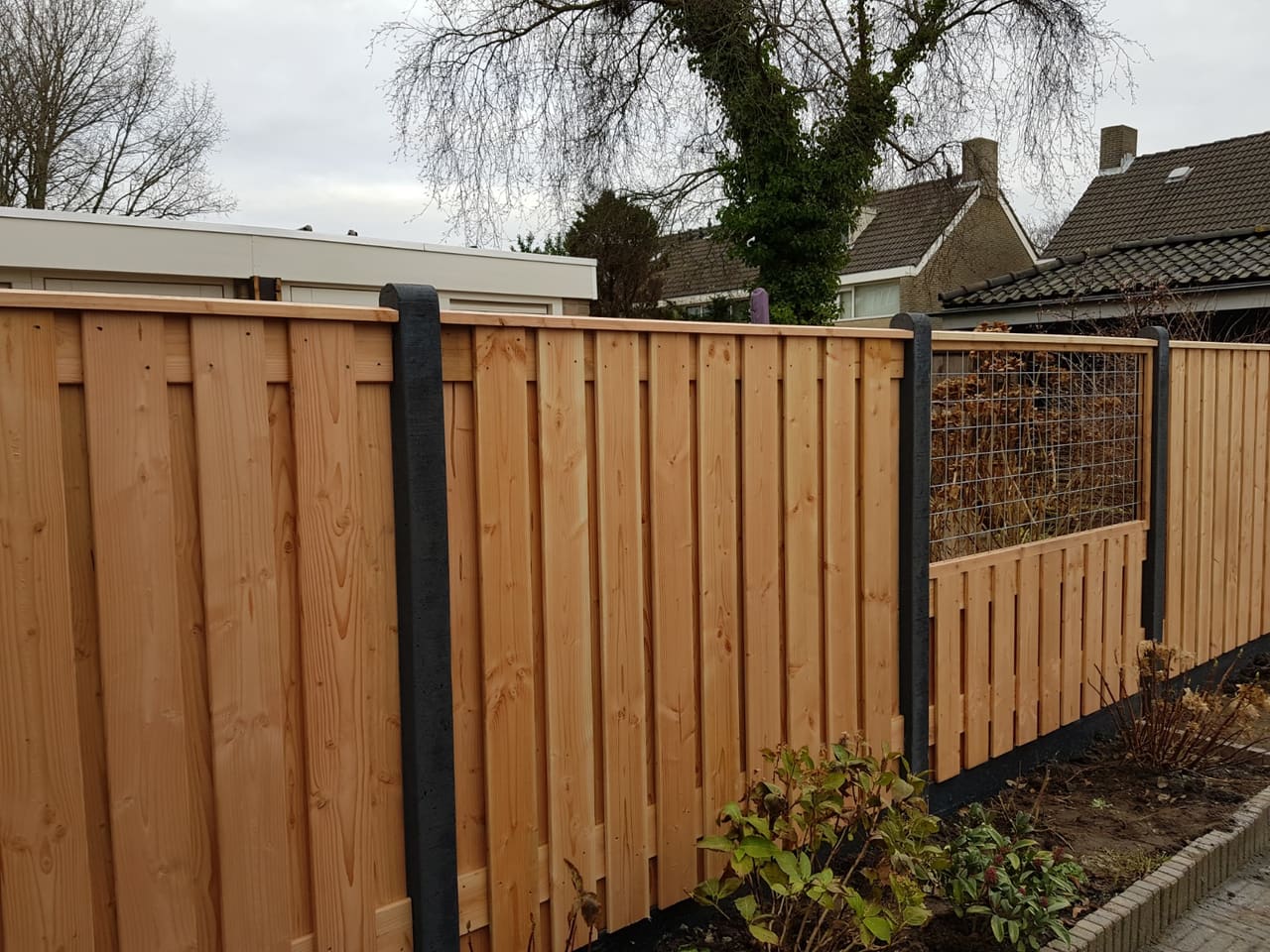 Douglas schutting met gaas en betonpalen — foto 2